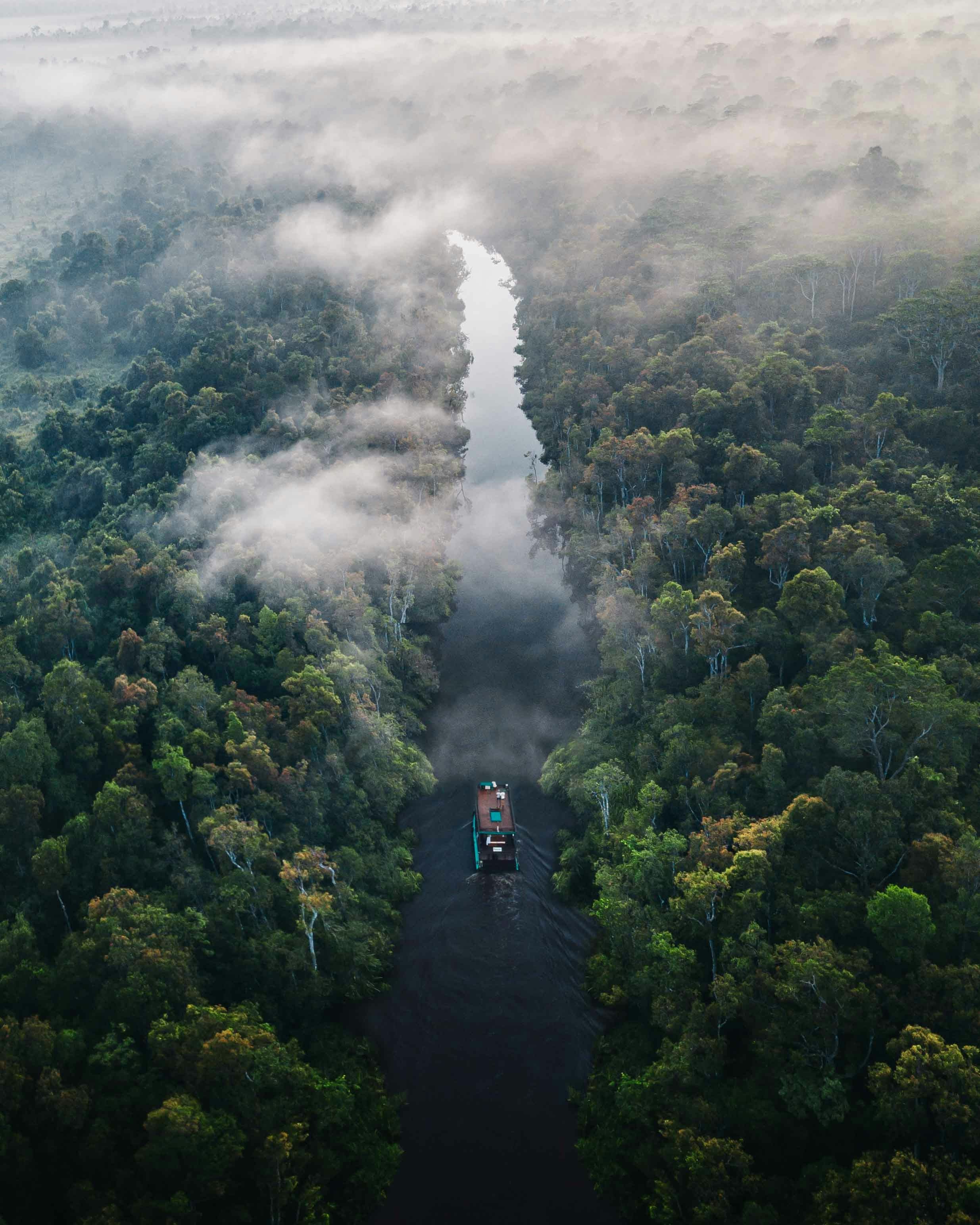 Aerial view of a dark river winding through a lush, misty rainforest with a small boat.