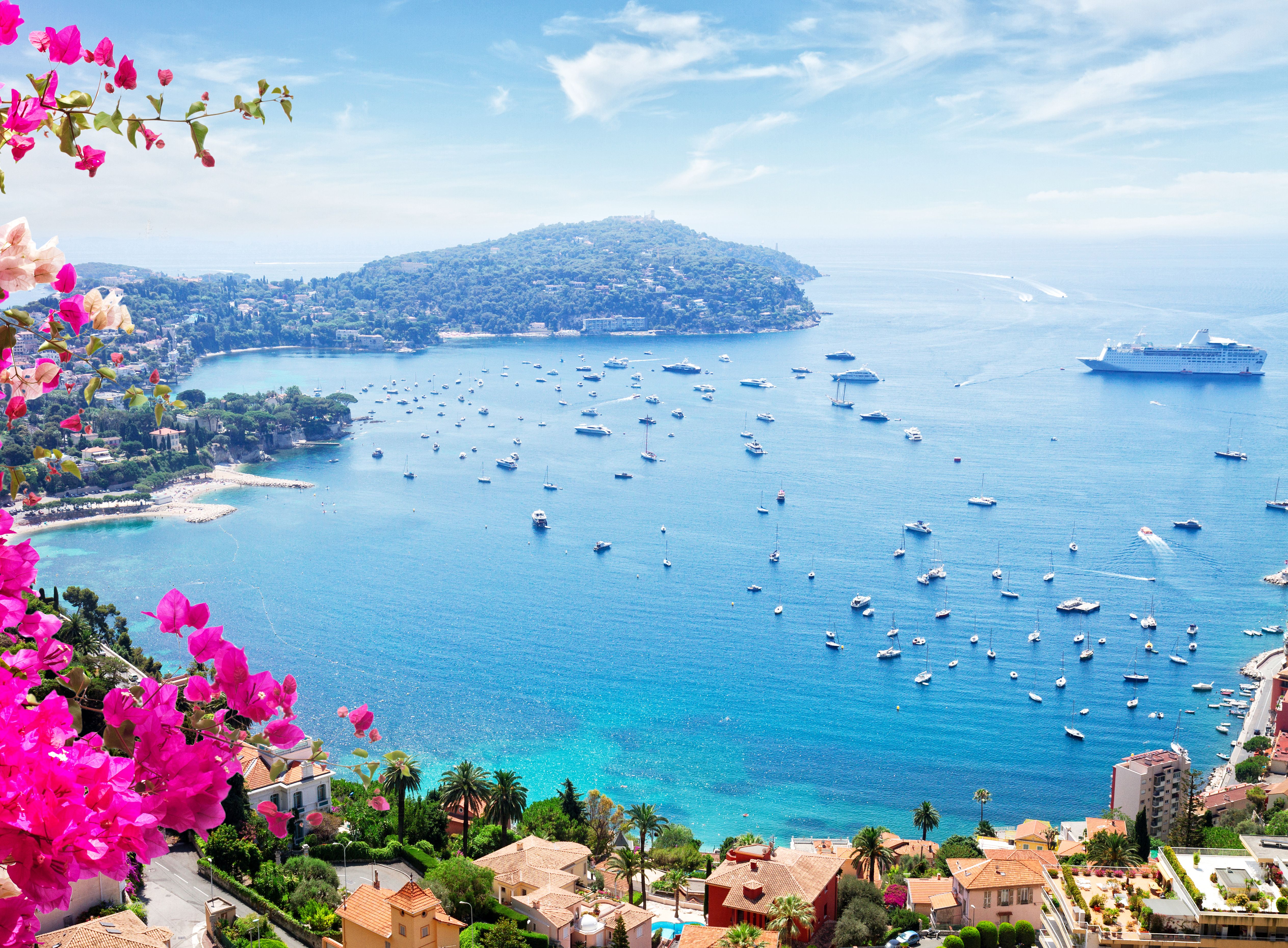 Panoramic view of a stunning coastal bay filled with boats, framed by bright pink flowers.