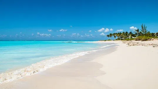 Bright turquoise ocean water meets a pristine white sandy beach with distant palm trees.