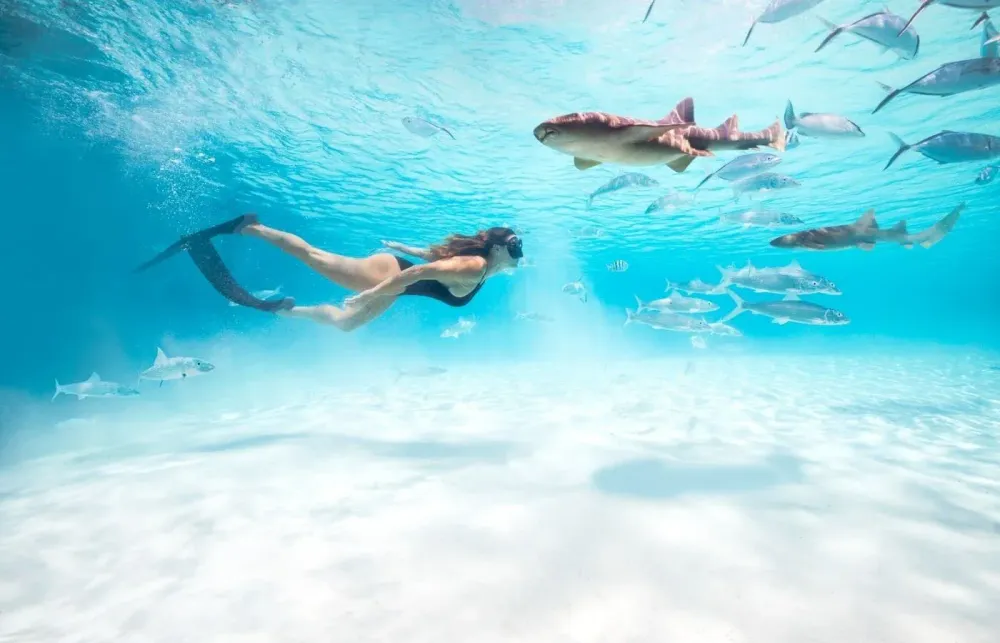 Top Things To Do During A Bahamas Yacht Charter