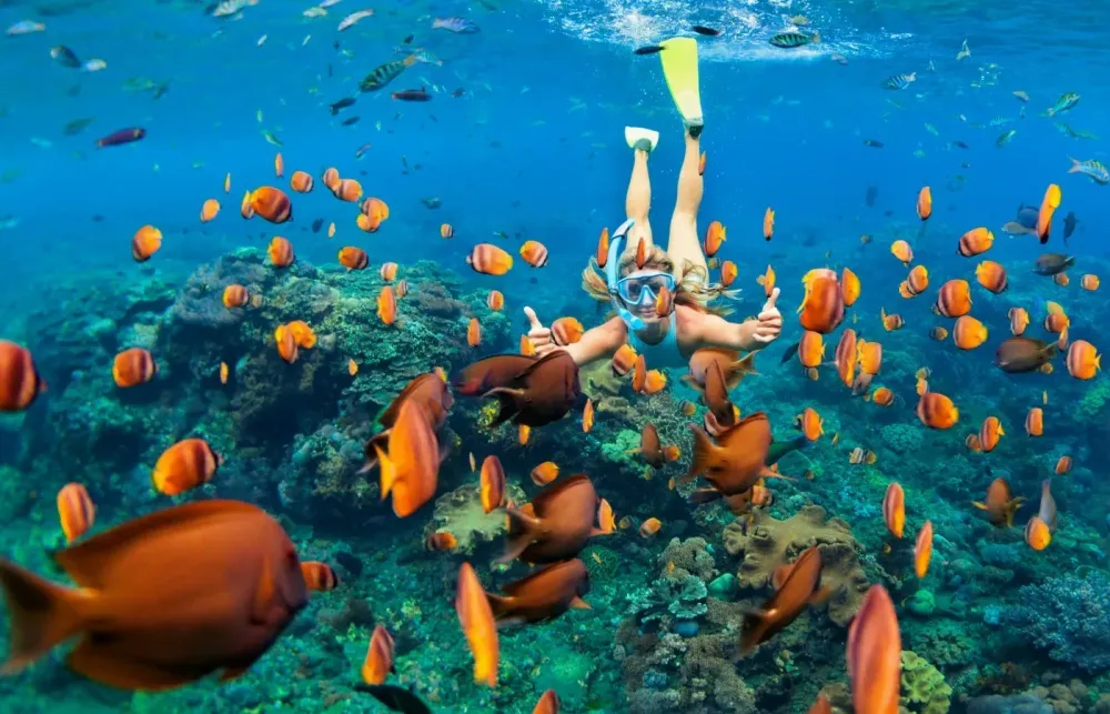 Top 5 Snorkeling Locations in the Caribbean Islands