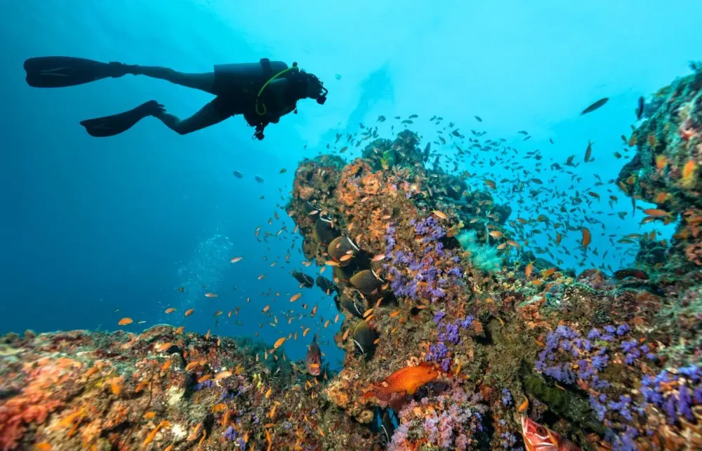 Top 5 Diving Sites in the World
