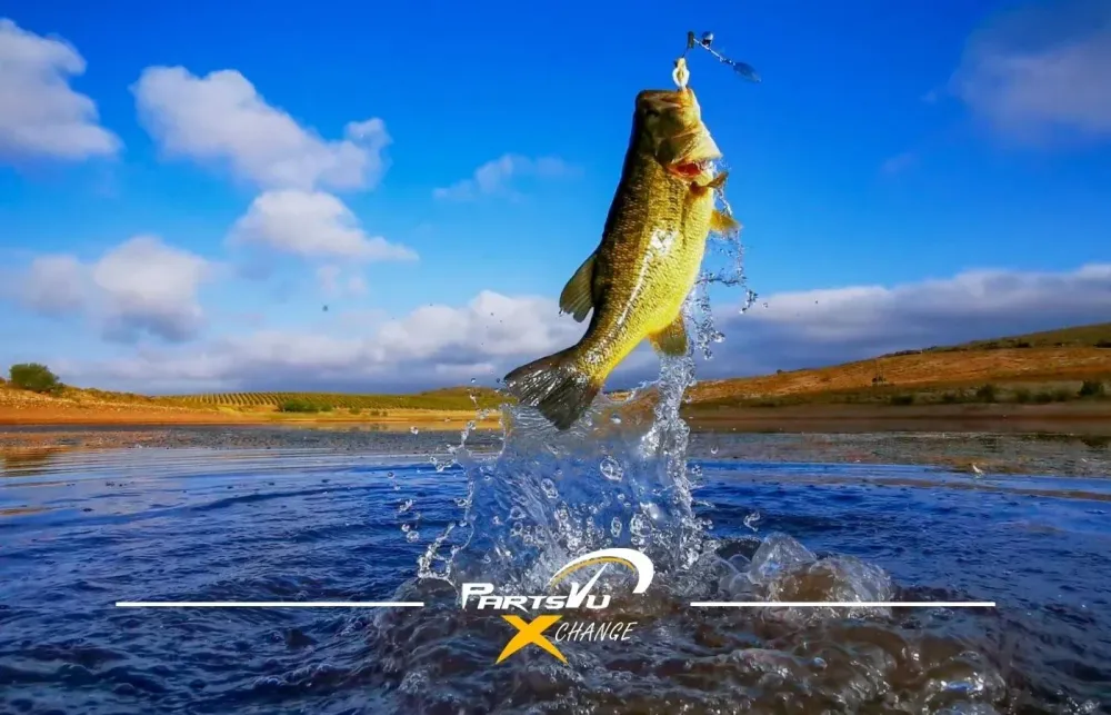 Bass Fishing Tips from Bassmaster Elite Series Angler Garrett Paquette