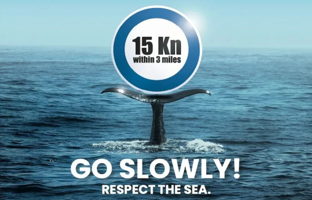 Sustainable Boating: Go Slowly Campaign