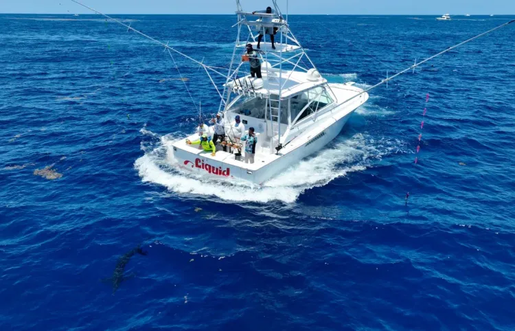 Sport Fishing Championship: Winning Catch
