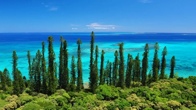 Cruising off the beaten track: New Caledonia