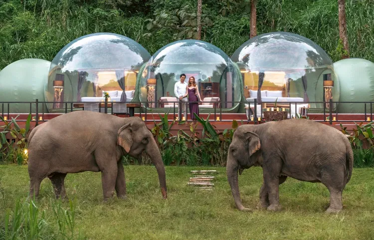 Anantara Golden Triangle Elephant Camp & Resort: Bubbles of Refuge