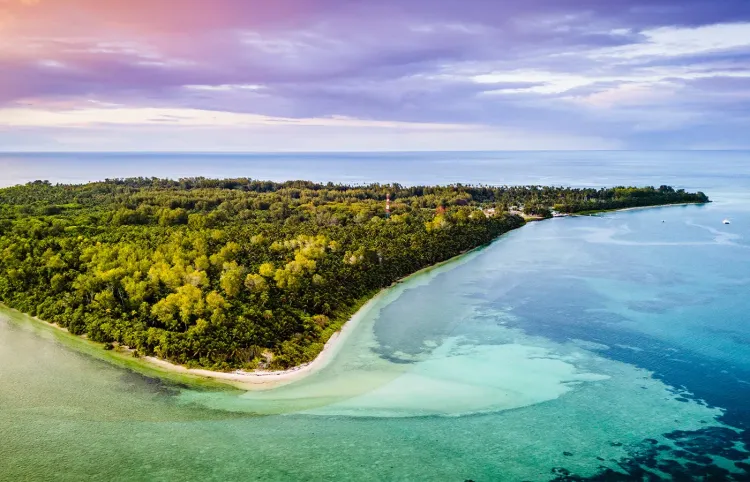 Outer Islands of the Seychelles: Close Encounters