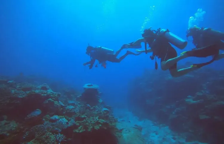 Learning to Dive in Fiji [FRANK Magazine Preview]