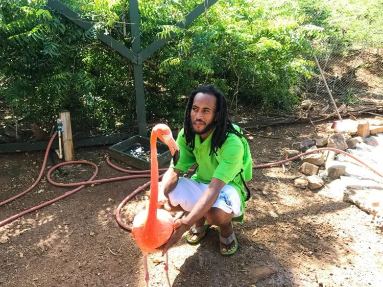 Virgin Gorda: Life After Hurricane Irma with Gumption