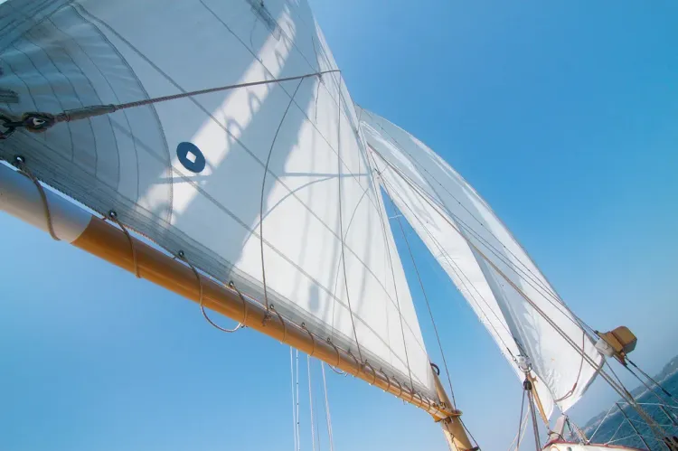 Newport Charter Show Starts Today
