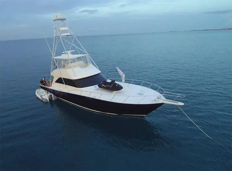 56 Viking Sold By Yacht Broker David Johnson