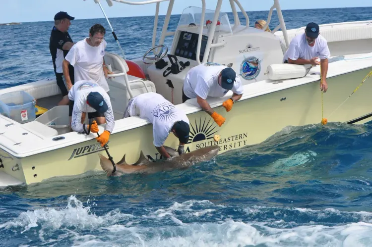 Help Keep Research and Education Afloat