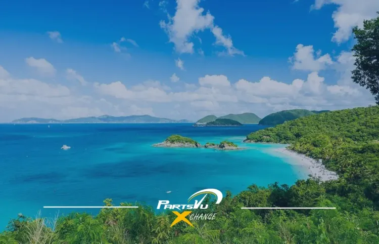 Journey to St. John and Meet Captain Iggie