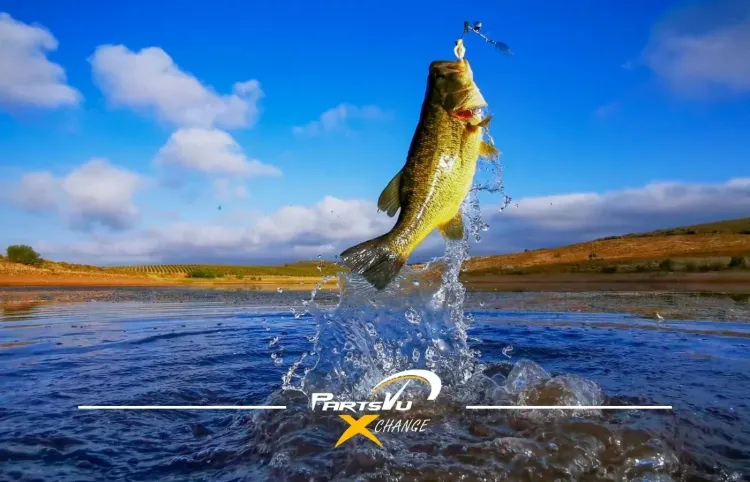 Bass Fishing Tips from Bassmaster Elite Series Angler Garrett Paquette