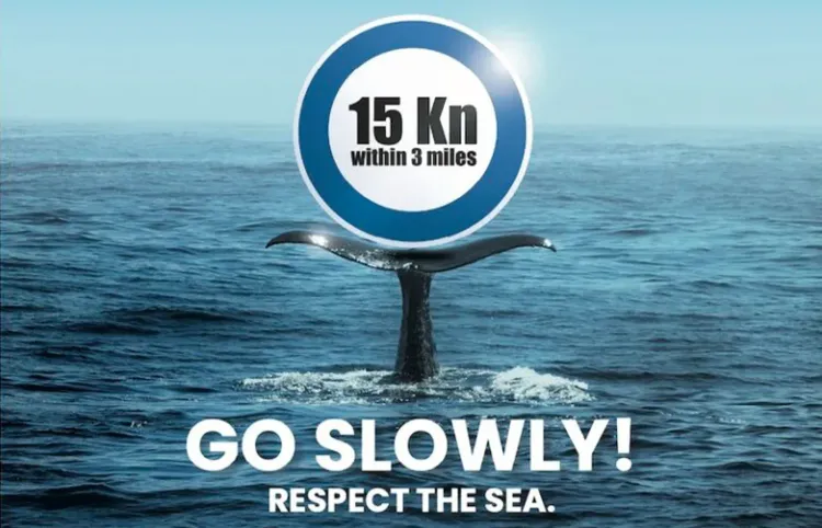 Sustainable Boating: Go Slowly Campaign