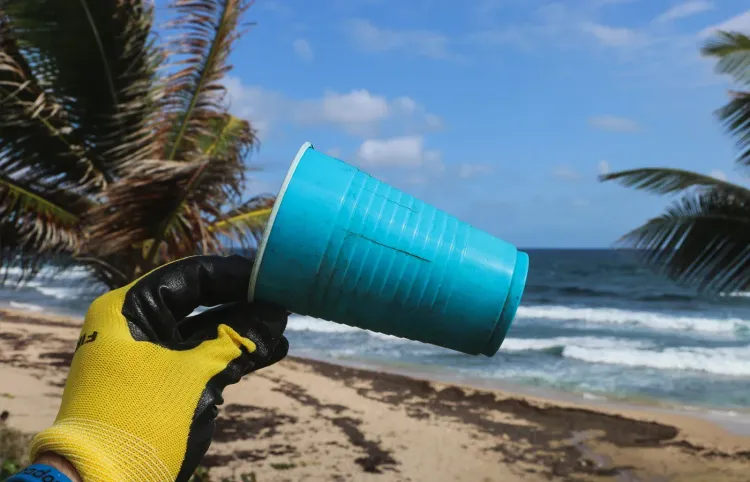Denison Aids Waterway Cleanup [South Florida Volunteering]
