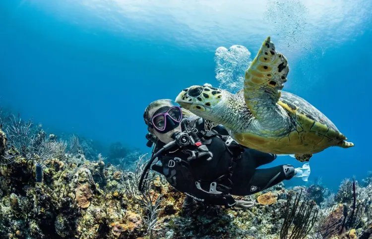 South Pacific Scuba School: Dive Certification on Kokomo Private Island in Fiji
