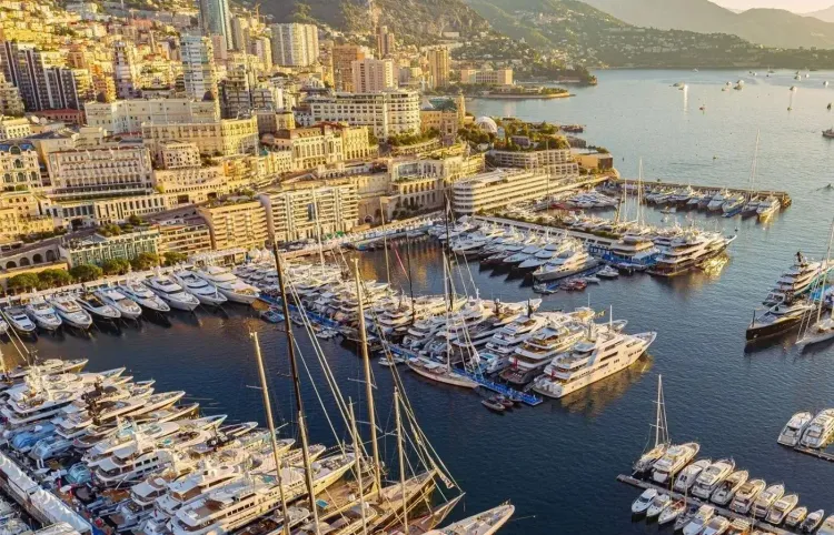 The full Monte (Carlo) [In the News]