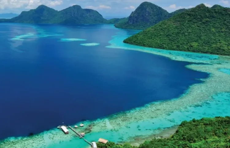 Borneo: Wild at Heart